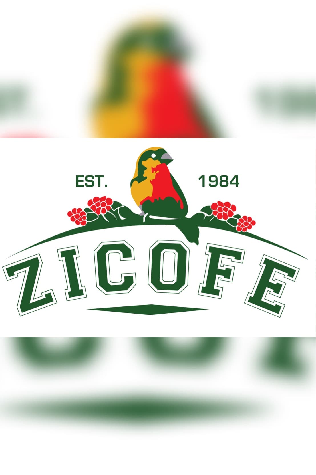 Zigoti Coffee Website